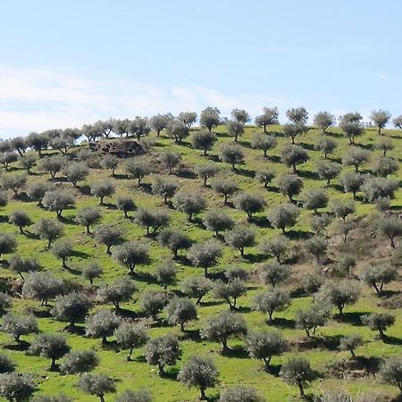 Agroturismo Casal De Castro Avantos Екстериор снимка