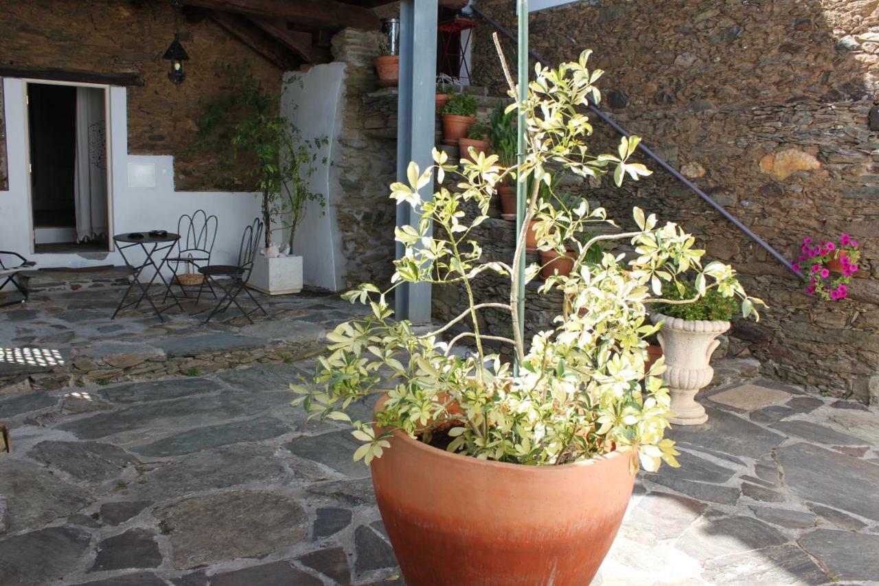 Agroturismo Casal De Castro Avantos Екстериор снимка